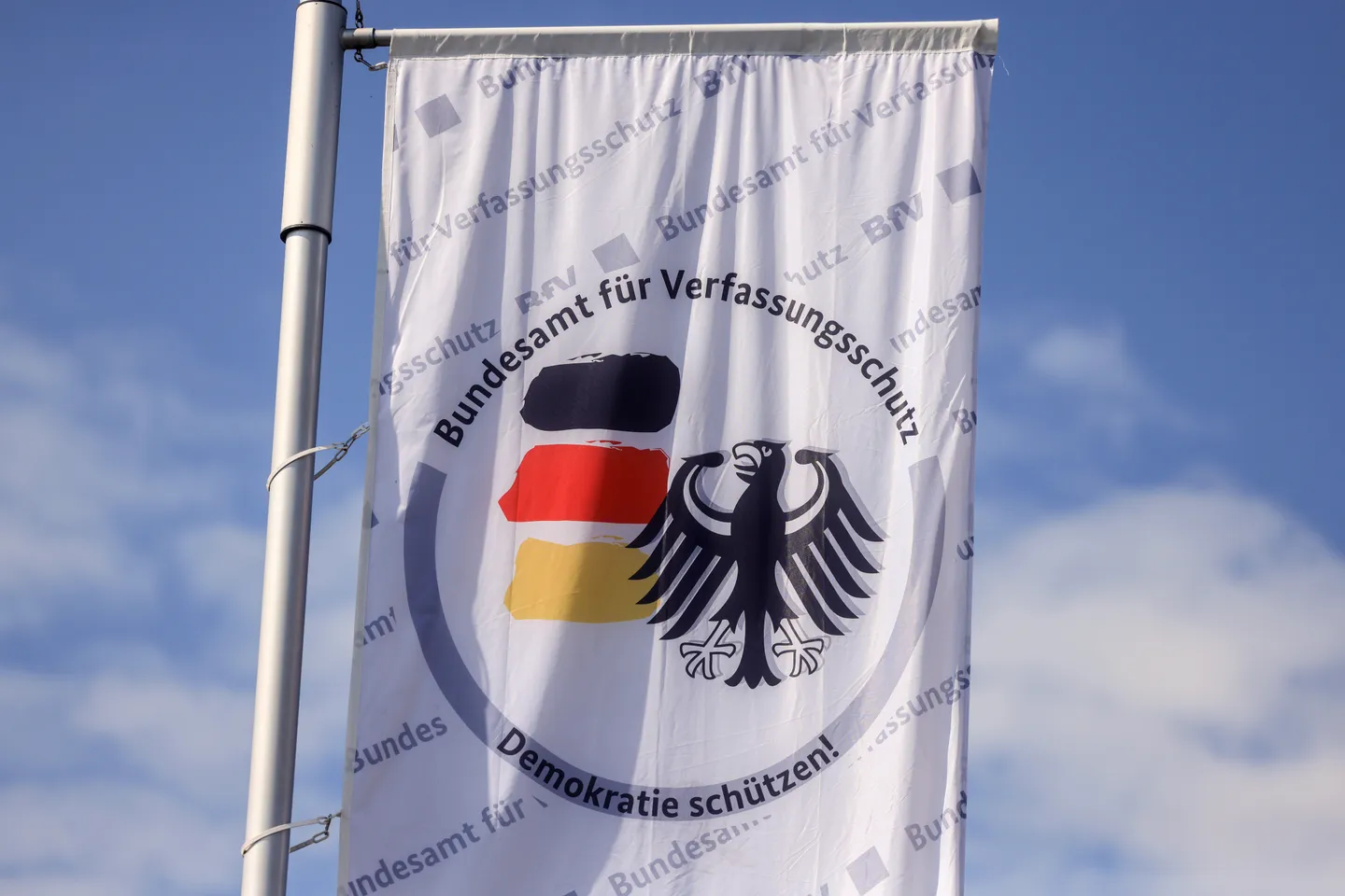 AfD klagt gegen Verfassungsschutz-Einstufung